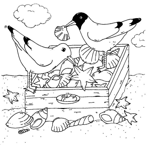 Раскраска Чайки с птенцами