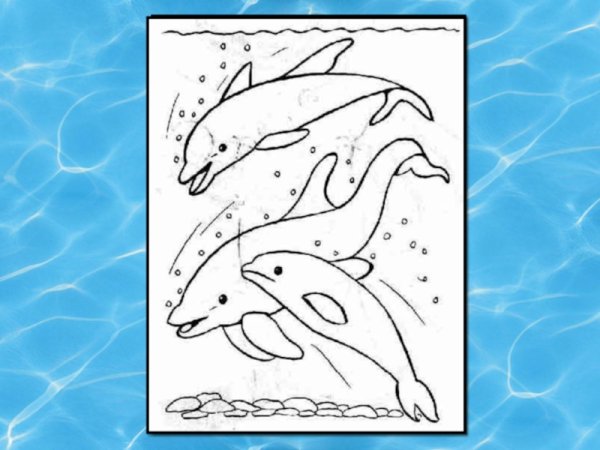 Раскраска Дельфин по номерам