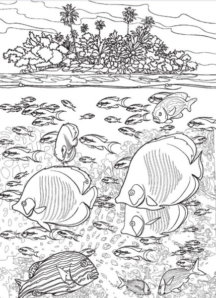 Морское дно раскраска