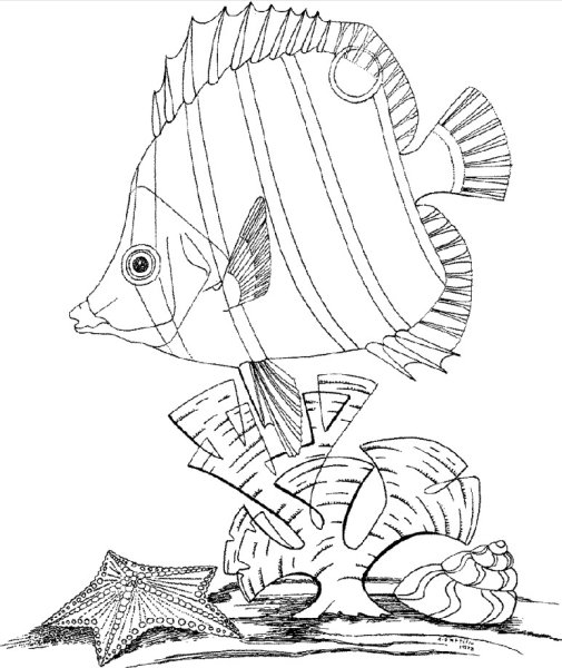 Морские рыбы раскраска