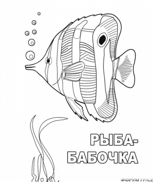 Морские рыбы раскраска