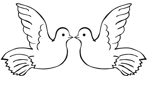 Голубь раскраска