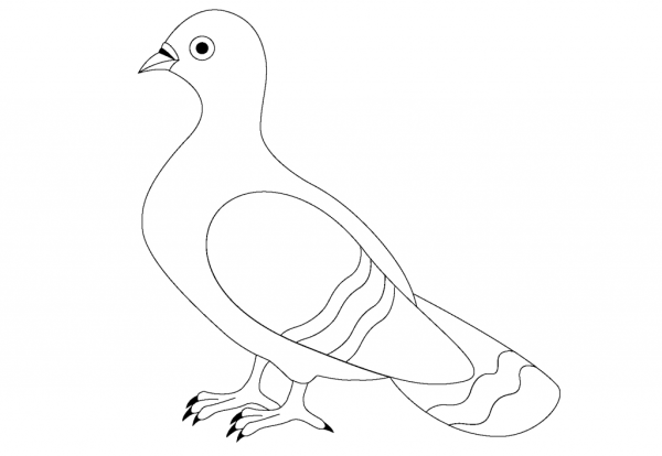 Голубь раскраска для детей