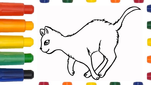 Раскраска радужные котики