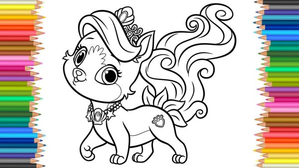 Королевский котик раскраска