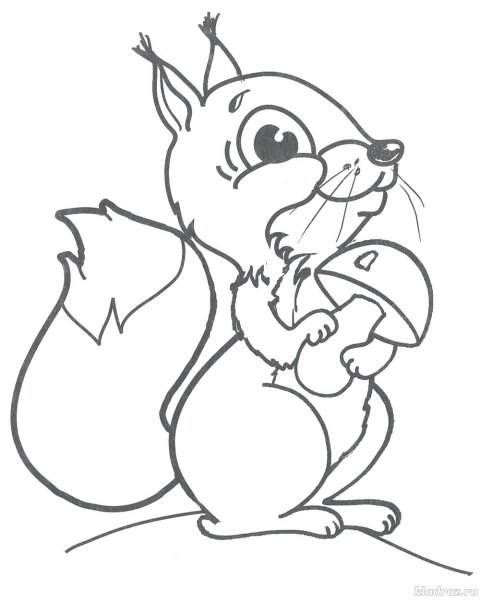 Белочка с грибочком раскраска
