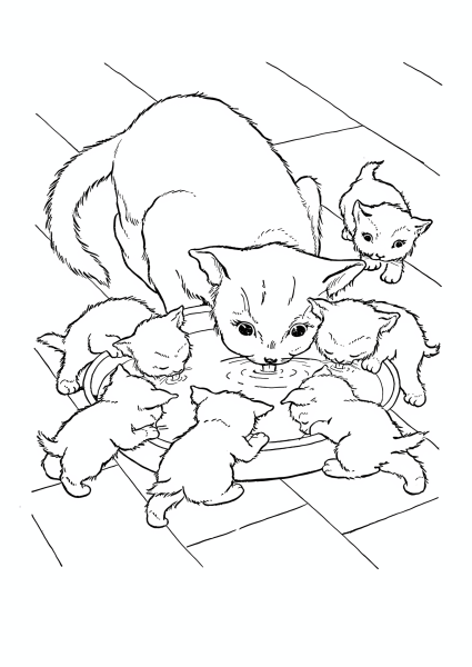 Раскраска кот и кошка