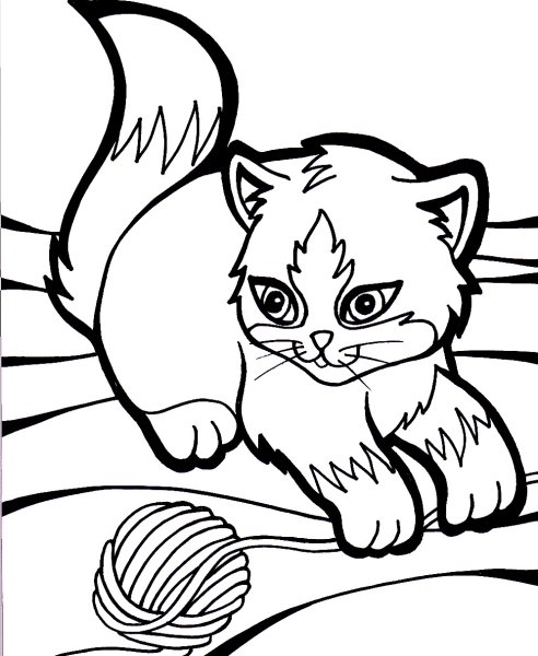 Кошка для раскрашивания
