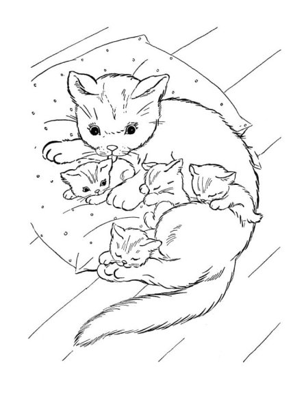 Котенок. Раскраска