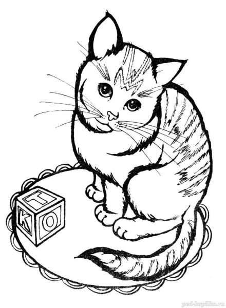 Котята раскраска живые