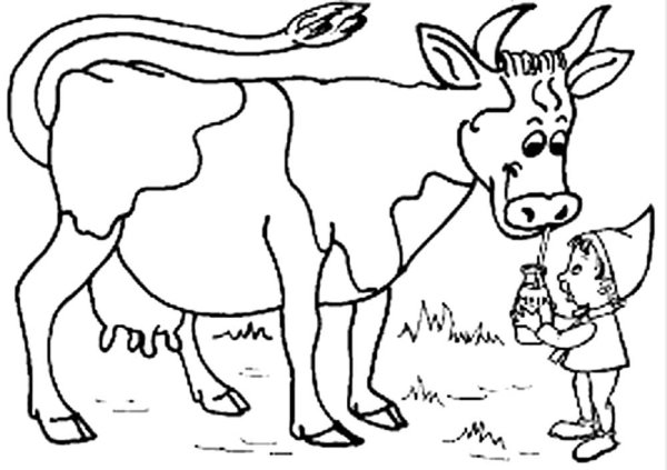 Корова картинка раскраска