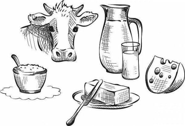 Раскраски молочные продукты питания для детей