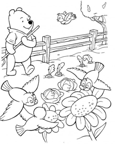 Раскраски для старшей группы