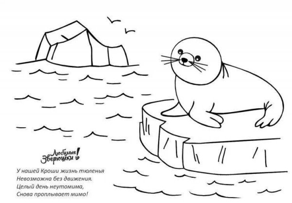 Нерпа Байкальская раскраска