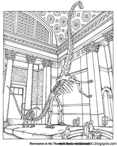 Музей раскраска