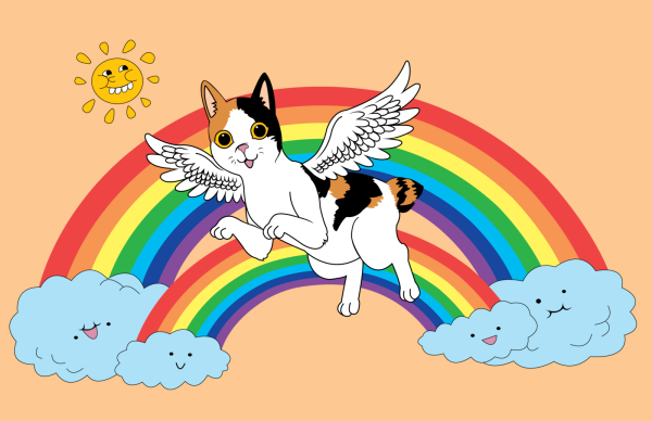 Кот с радугой