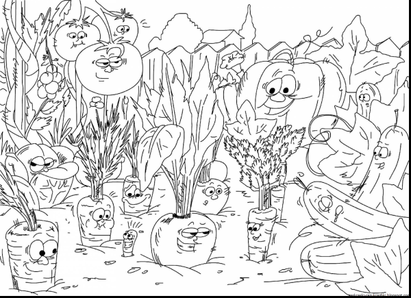 Раскраска. В огороде