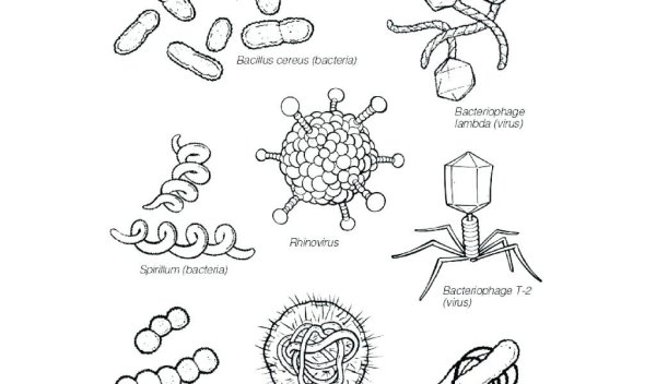 Микробы, бактерии, вирусы раскраска для детей