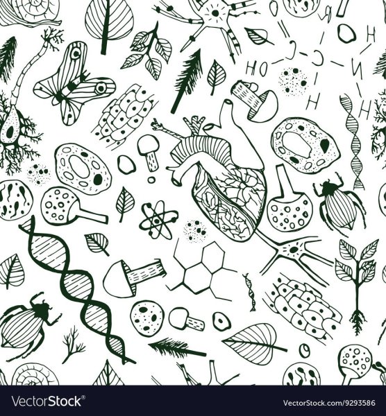 Паттерн биология вектор