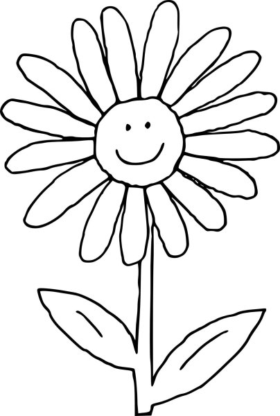 Рисунок ромашки для раскрашивания