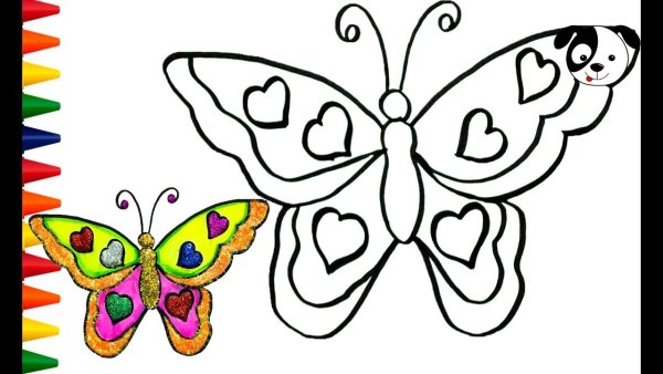 Радужная бабочка раскраска