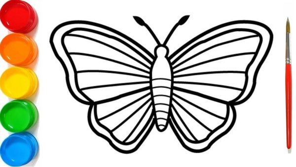 Радужная бабочка раскраска