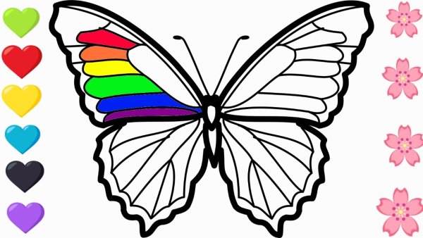 Радужная бабочка раскраска