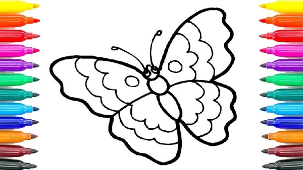 Радужная бабочка раскраска