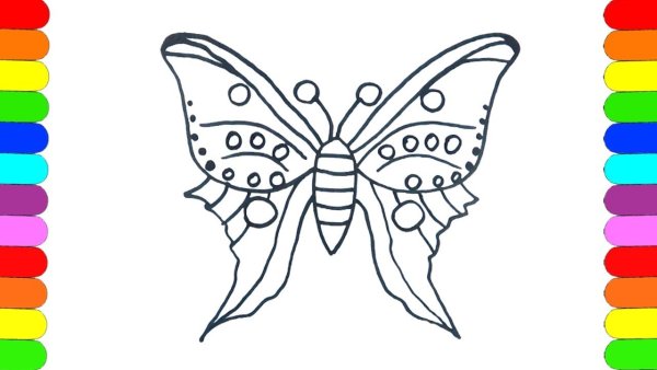 Раскраска Радуга и бабочка