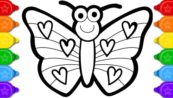 Раскраска радужные бабочки