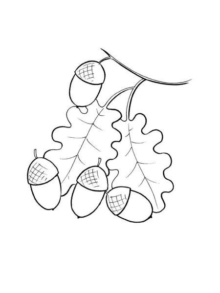 Осенние раскраски для малышей