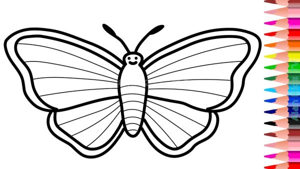 Радужная бабочка раскраска