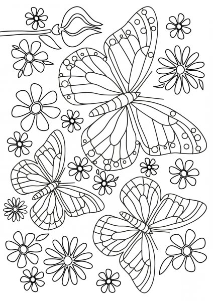 Раскраска "бабочки"