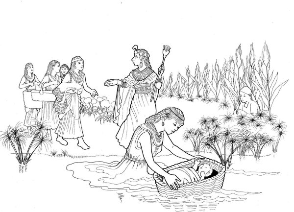 Раскраска Моисей в корзинке