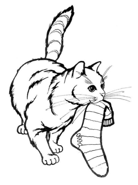 Раскраска. Котики