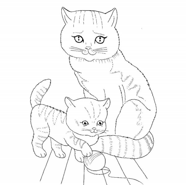 Раскраска кошка с котятами