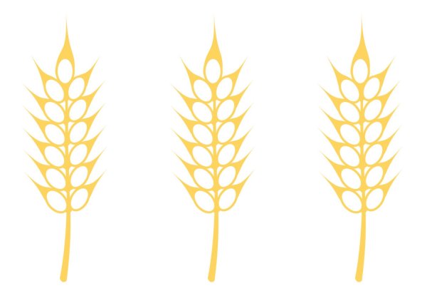 Колосок рисунок