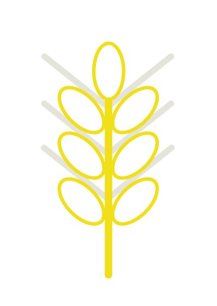 Колосок раскраска для малышей