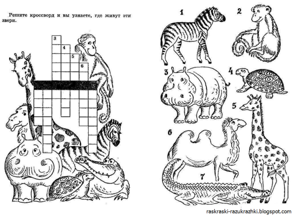 Задания про животных