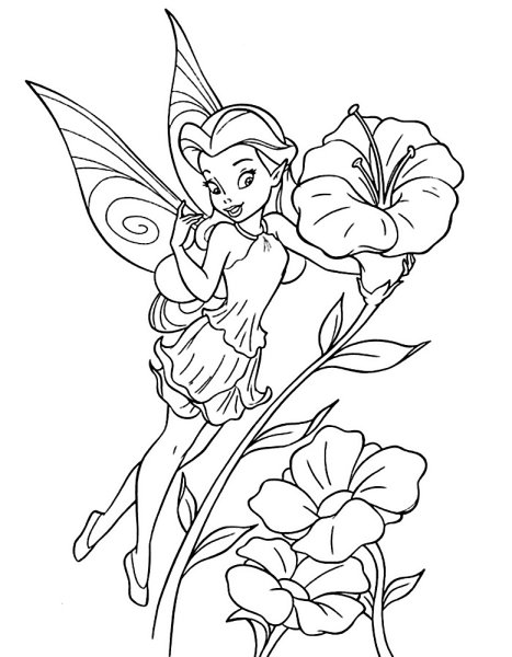 Раскраска Фея Незабудка