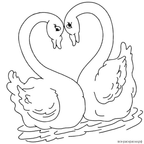 Лебедь раскраска