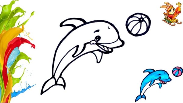 Раскраска Дельфин с радугой