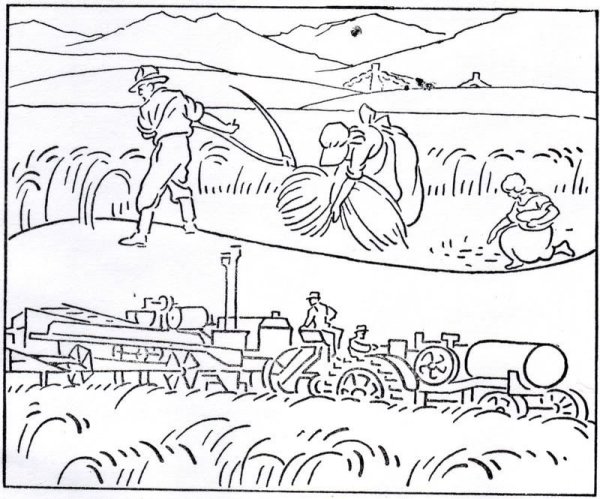 Поле рисунок карандашом для детей