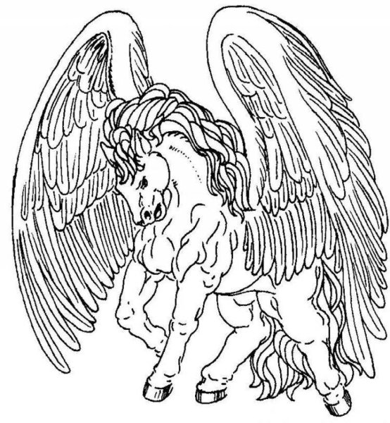 Пегас раскраска