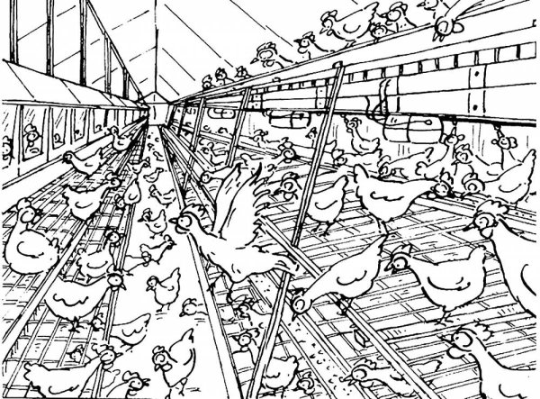 Ферма для разукрашивания