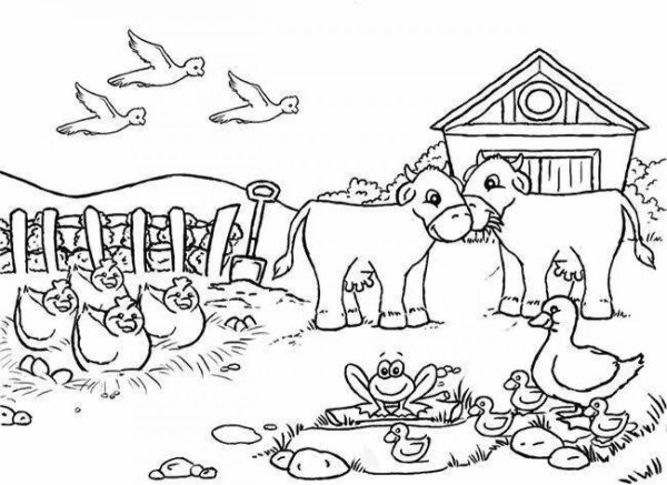 Ферма раскраска для малышей