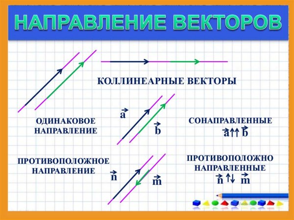 Виды векторов