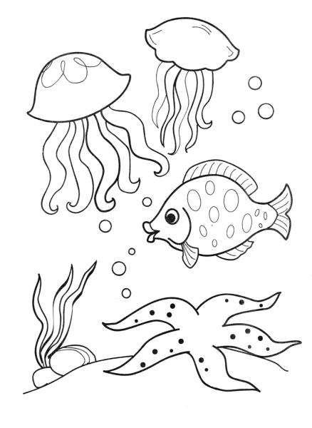 Морские обитатели раскраски для детей