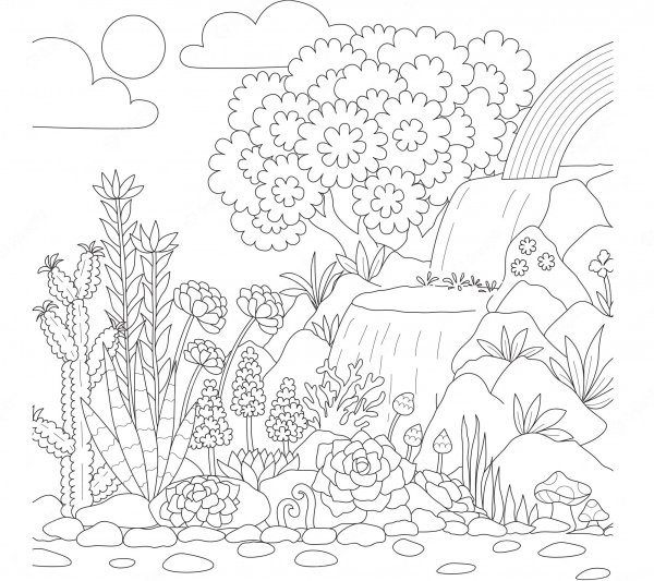 Природа раскраска для детей водопад Радуга