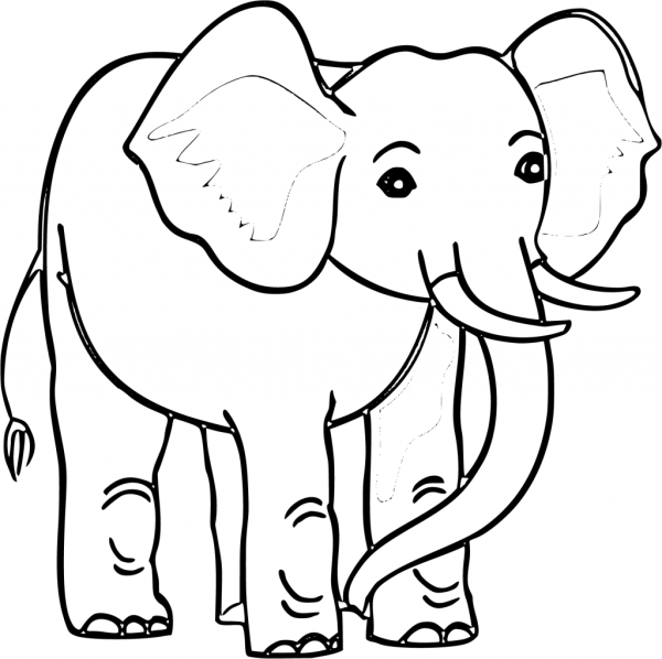 Слоненок карандашом для детей